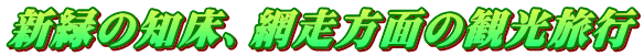 V΂̒mAԑʂ̊όs